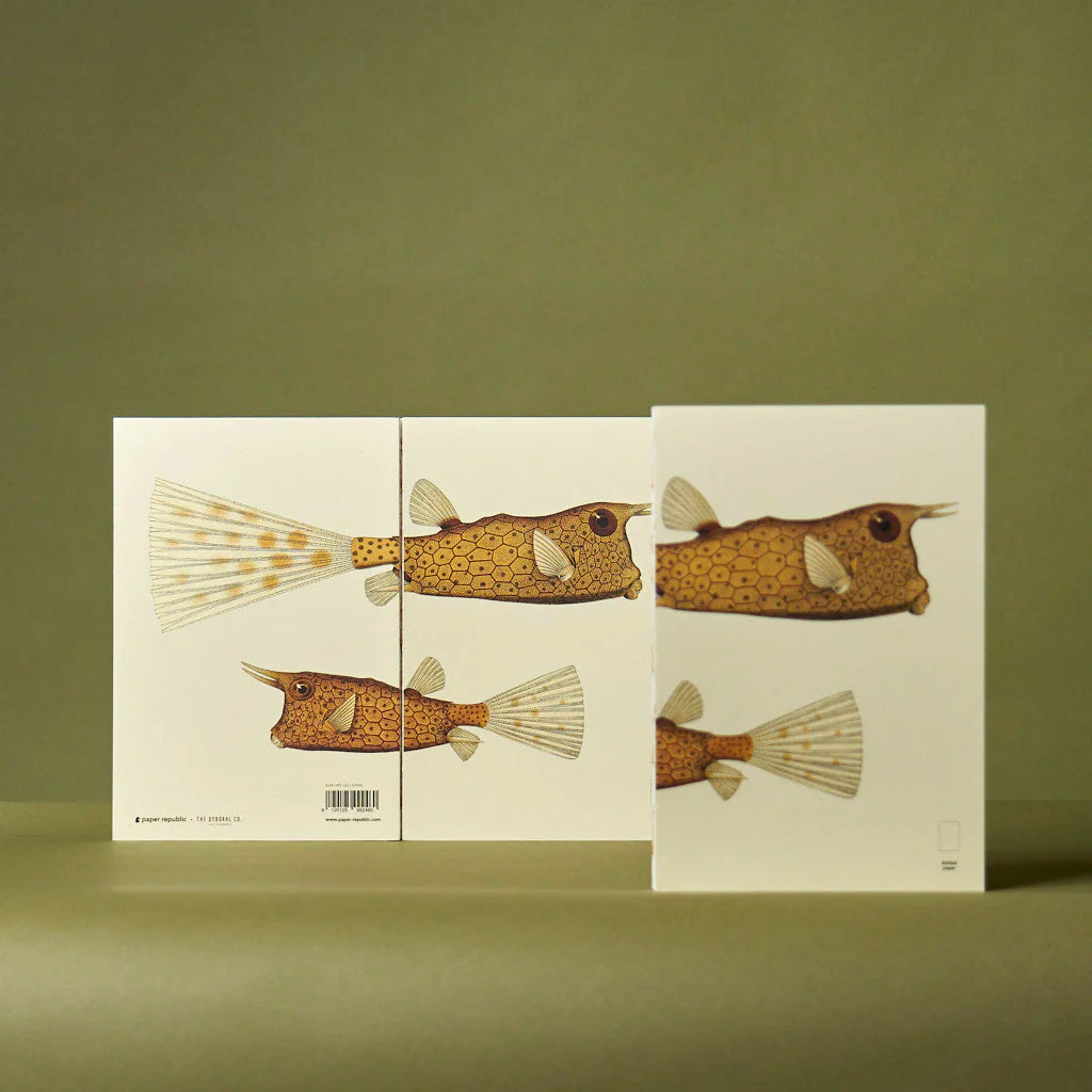 Fish Series - Paper Republic Illustrated Notebook Refill