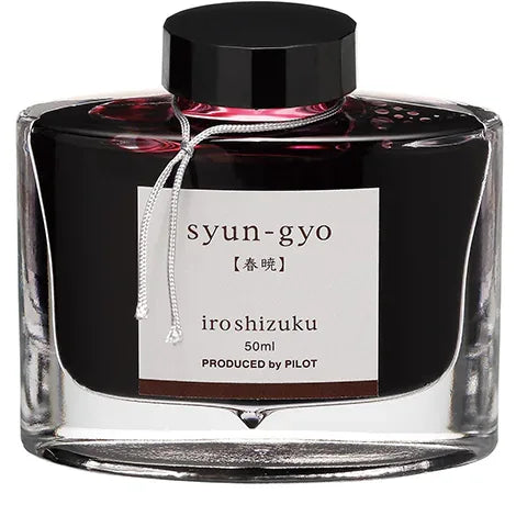 Pilot Iroshizuku Ink – Take-Sumi (Bamboo Charcoal)