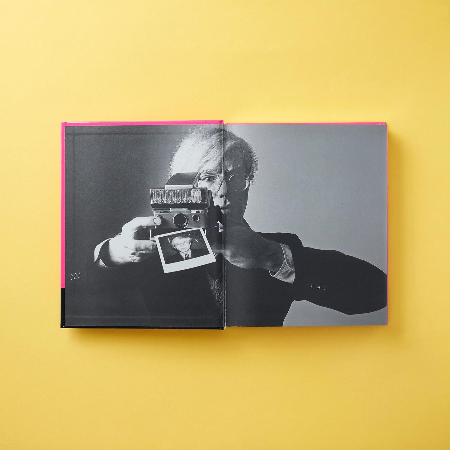 Polaroid Now - The History and Future of Polaroid Photography