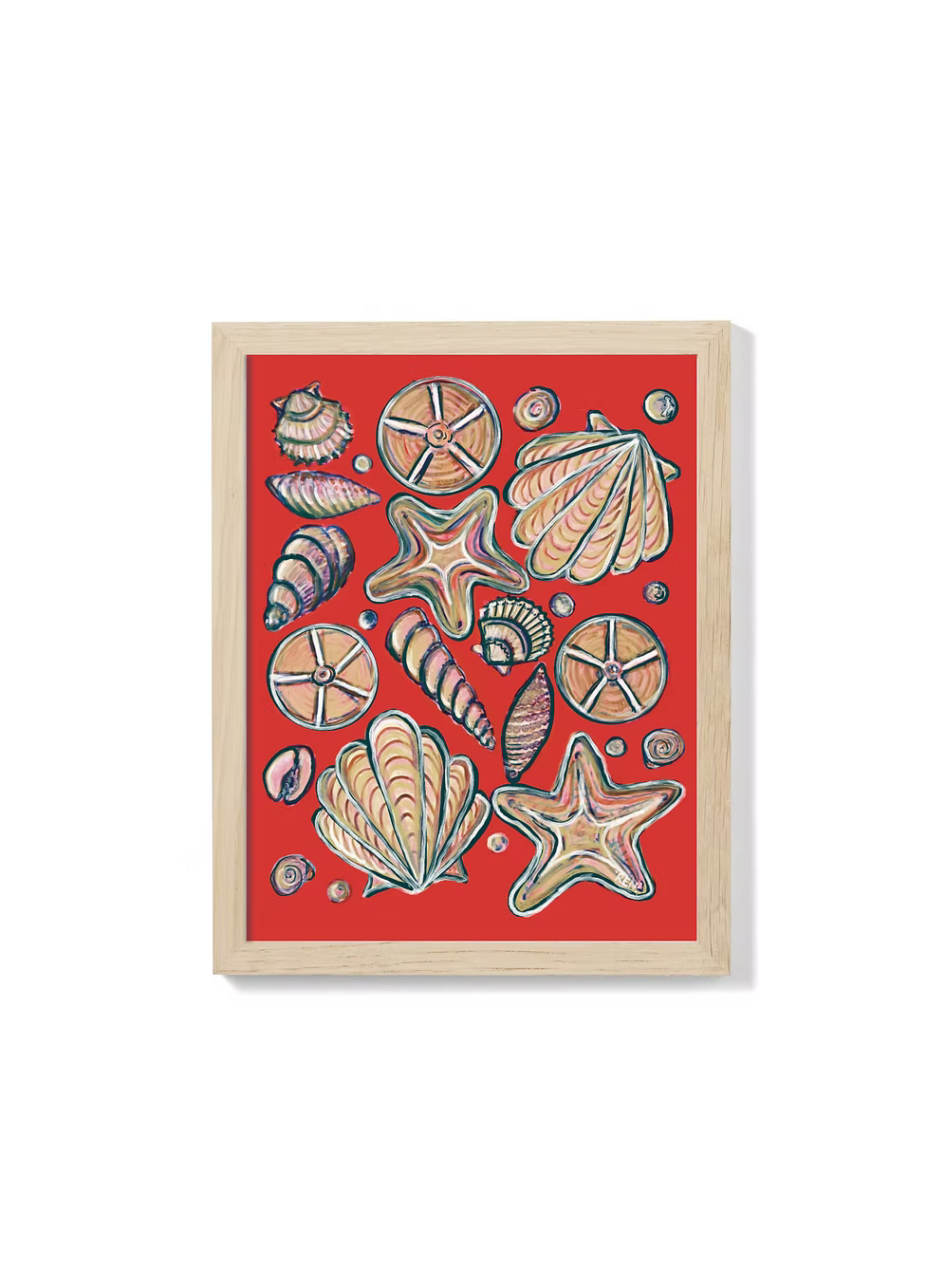 Sea Shells - Art Print