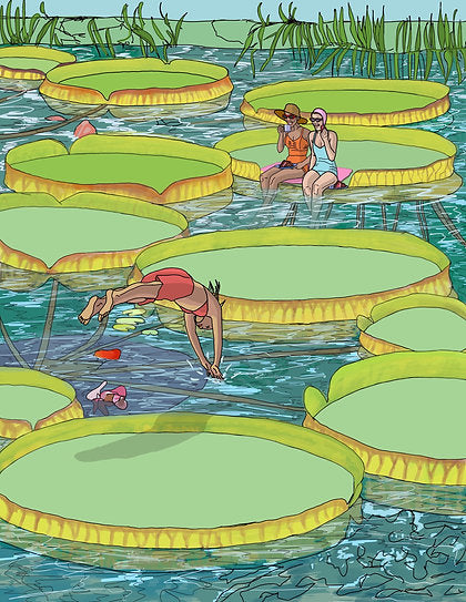 Summer At The Pond - Art Print