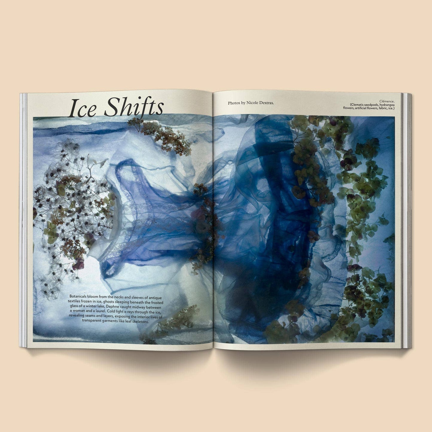 Mildew, Secondhand Fashion Magazine