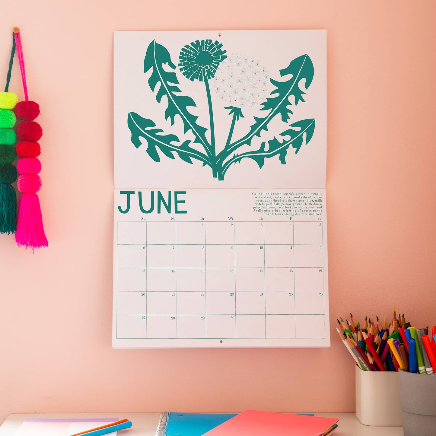 2027 Calendar - Medicinal Plants
