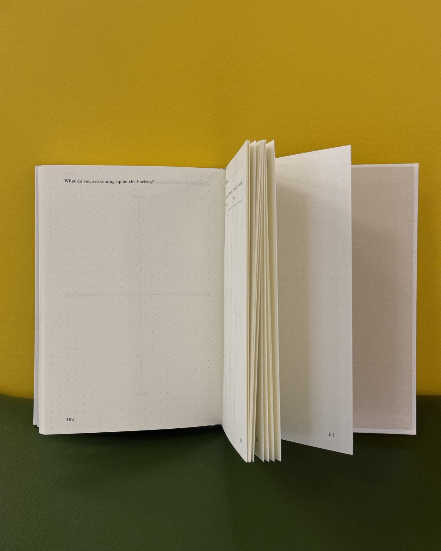 No Particular Order - Guided Journal Vol. 1
