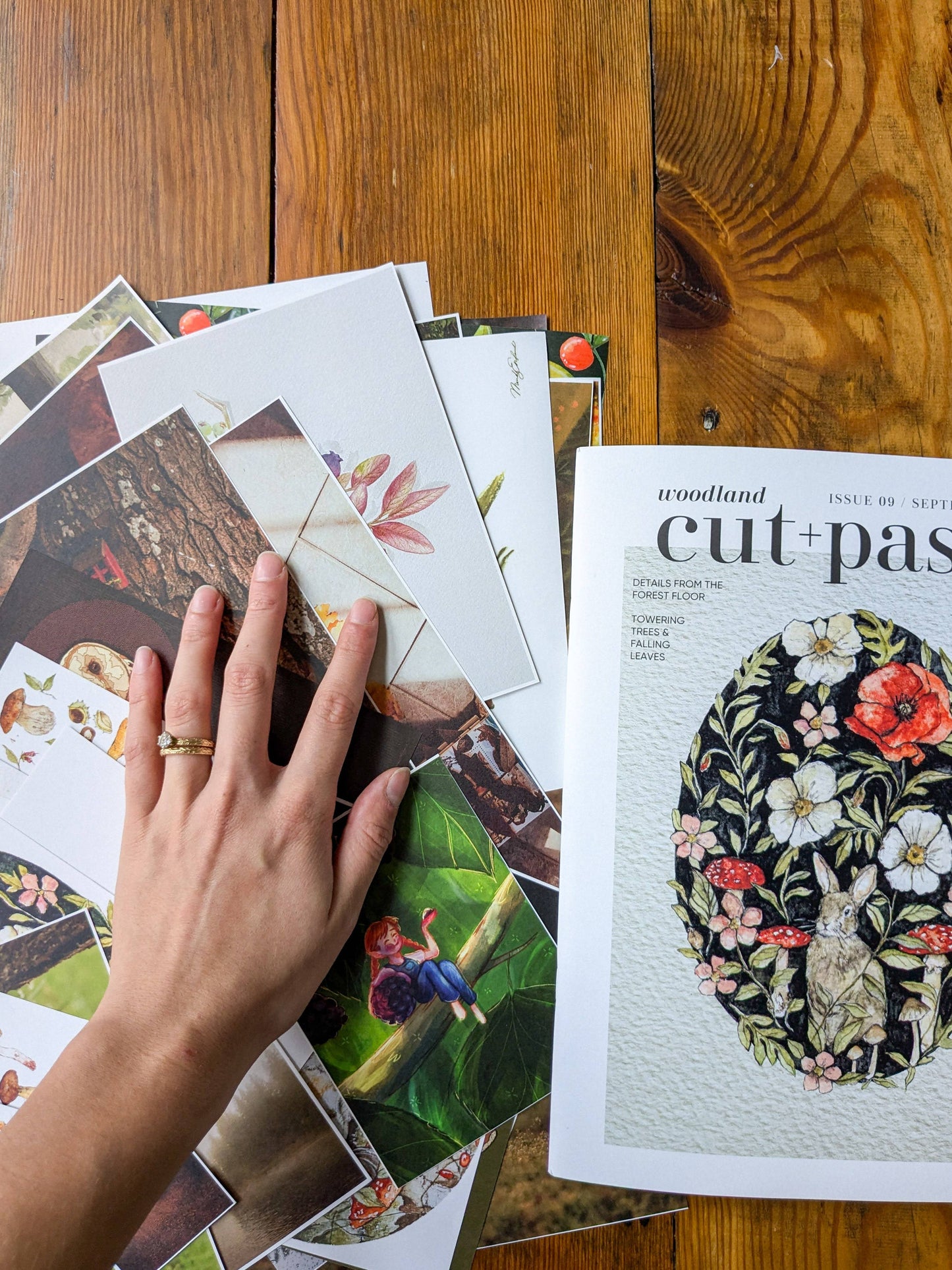 Cut + Paste Magazine, "Woodland"