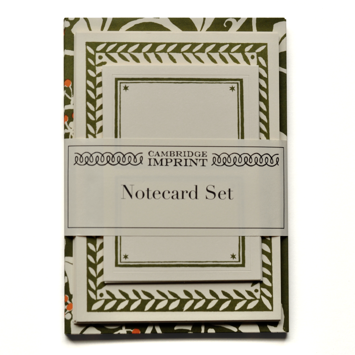 Notecard Set - Ivy Swamp