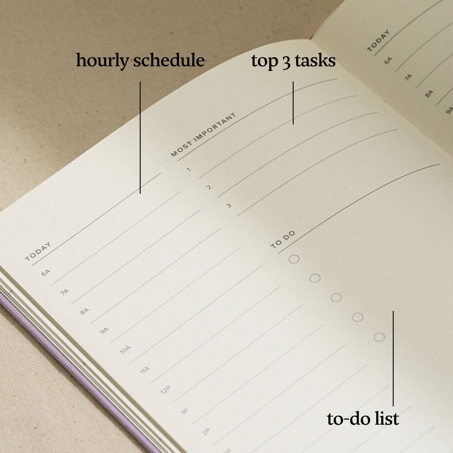 Daily Planner, Lavender - Undated (120 Days)
