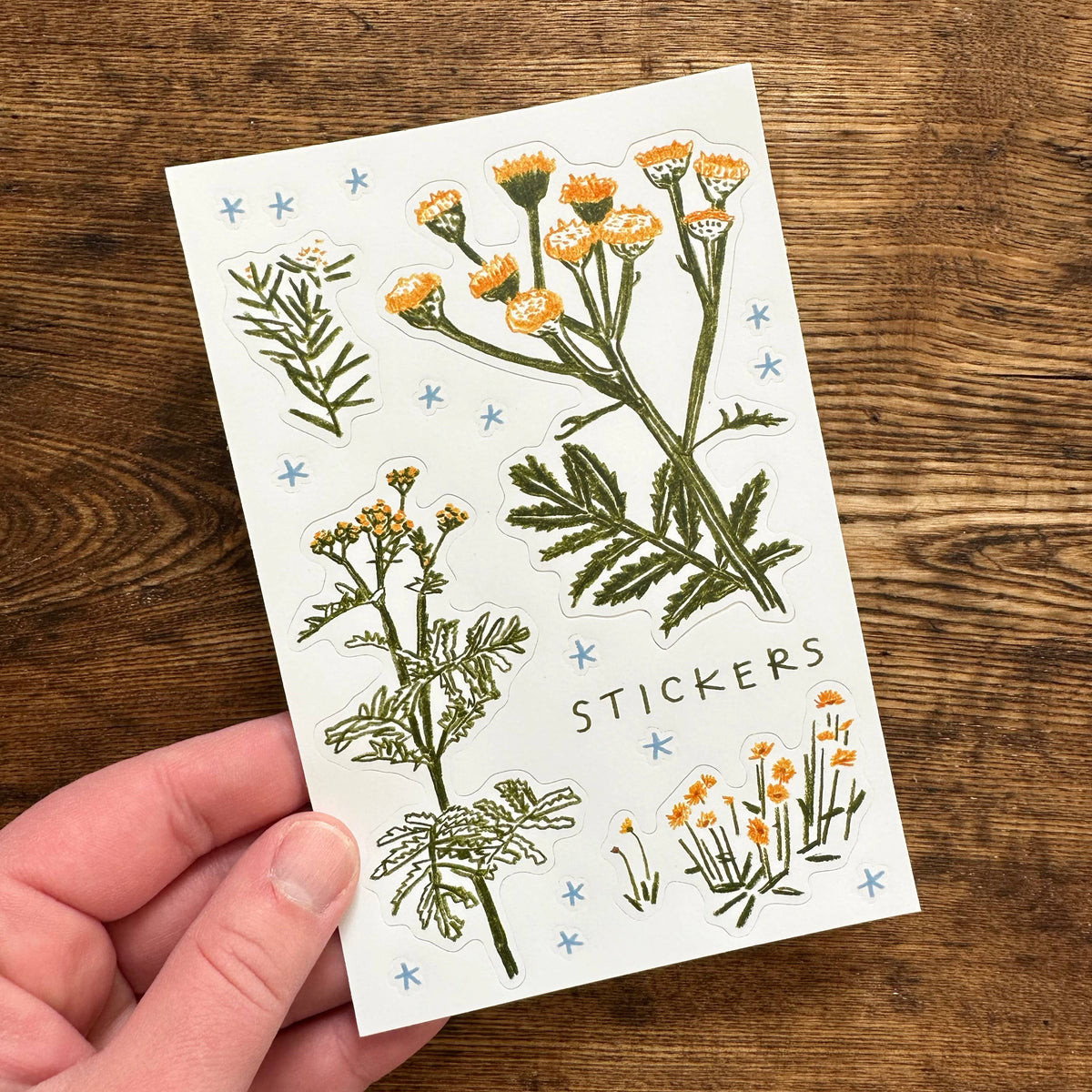 Sticker Sheet - Yellow Tansy