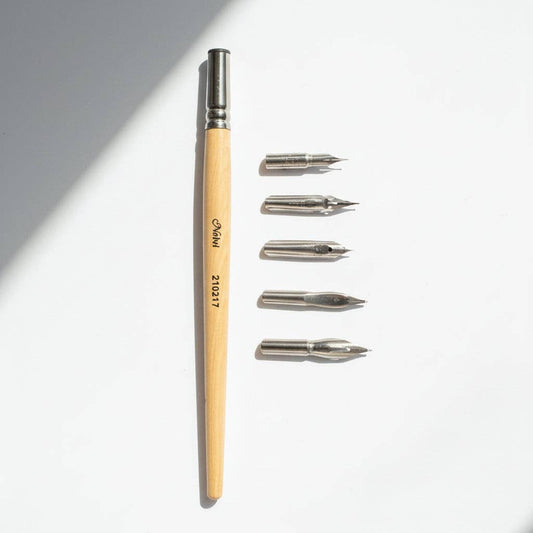Calligraphy Pen Nibs and Holder Set