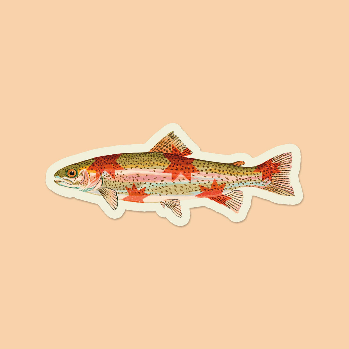 Rainbow Trout Starry Fish Sticker