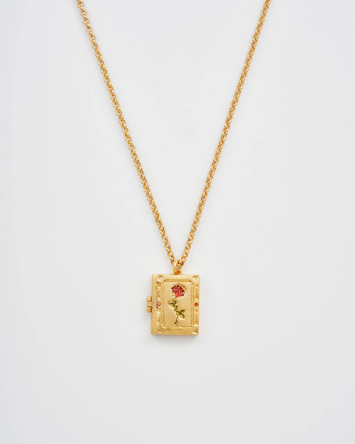 Diary Locket - Necklace