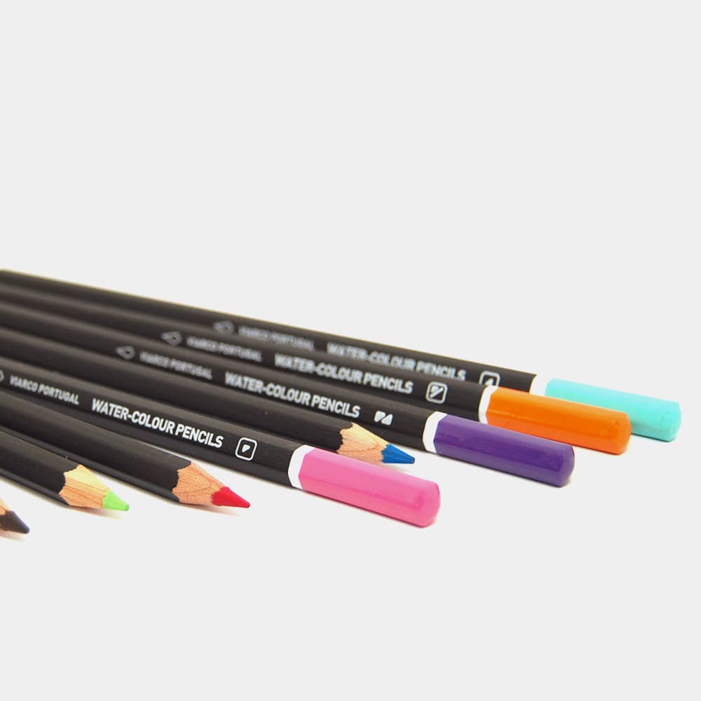 Watercolour Pencils - Viarco Silkscreen Series