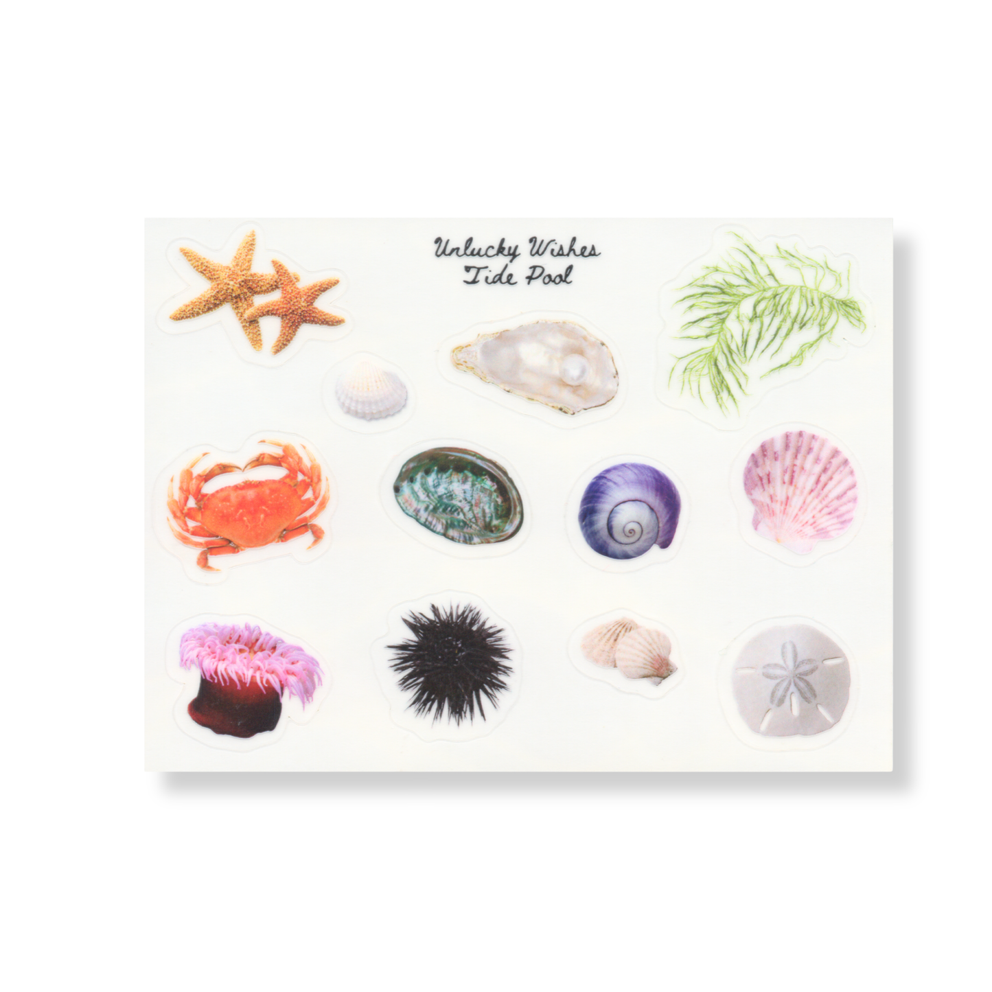 Tide Pool Sticker Sheet | 3"x4", 12 Glossy Stickers