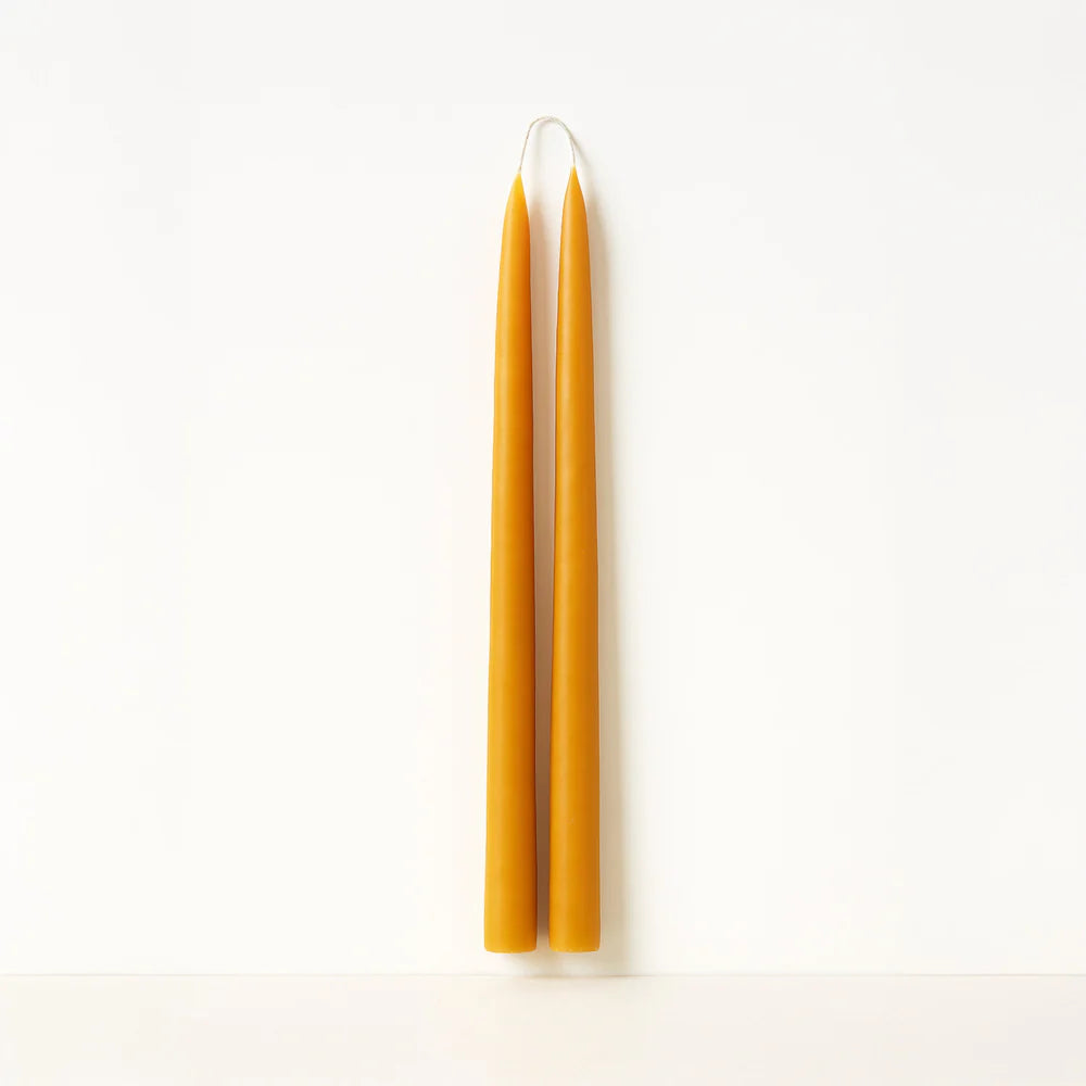 Beeswax Everyday Taper Candle Set - 12"
